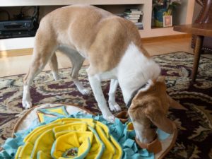 dog snuffle pad