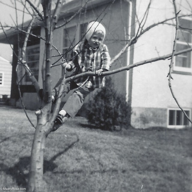 child in a tree