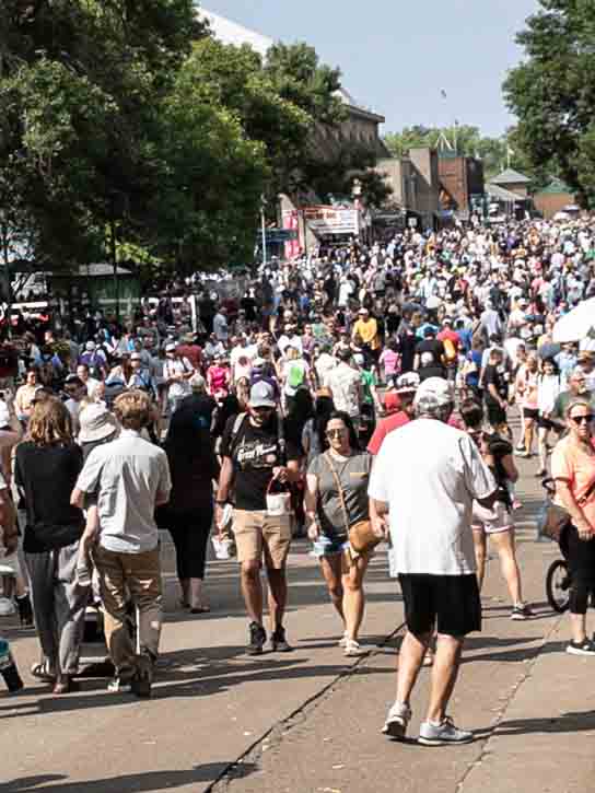 view of Minnesota State Fair crowd