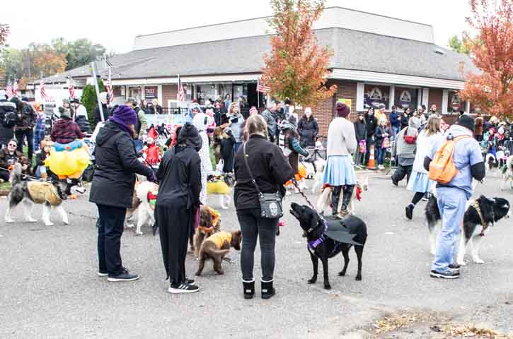 Halloween parade participants with dogs